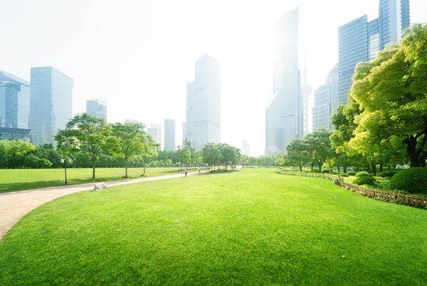 Commercial Landscape Maintenance in New Baltimore