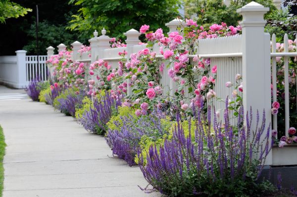 Garden Handyman Service in New Baltimore