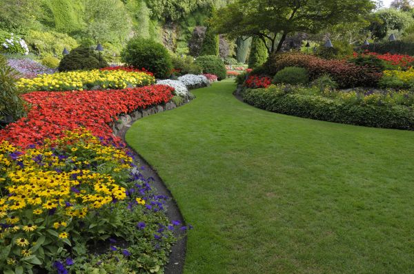 Landscaping Maintenance in New Baltimore