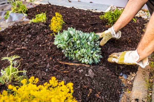 Weeding And Mulching in New Baltimore