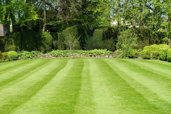 Lawn Renovation in New Baltimore