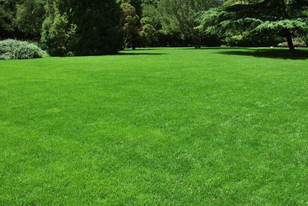 Lawn Landscaping in New Baltimore