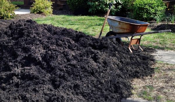 Black Mulch Delivery in New Baltimore