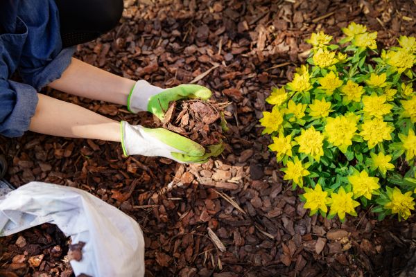 Garden Mulching in New Baltimore