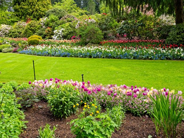Residential Landscape Design in New Baltimore