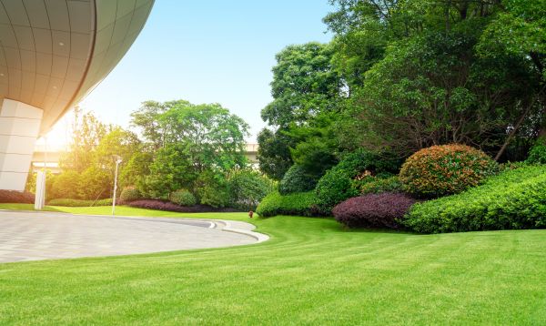 Business Landscape Design in New Baltimore