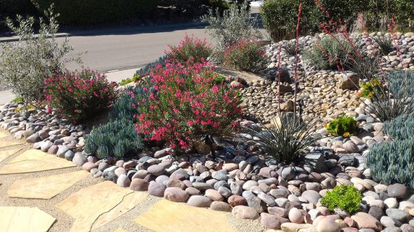 Xeriscape Landscaping in New Baltimore