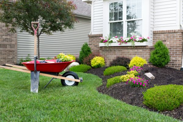 Tree And Shrub Planting in New Baltimore