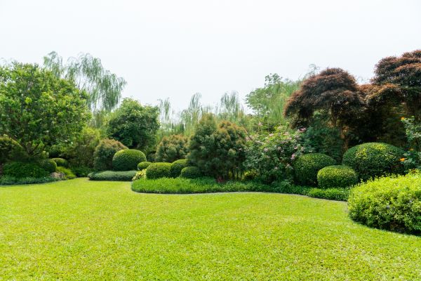 Tree Landscaping in New Baltimore