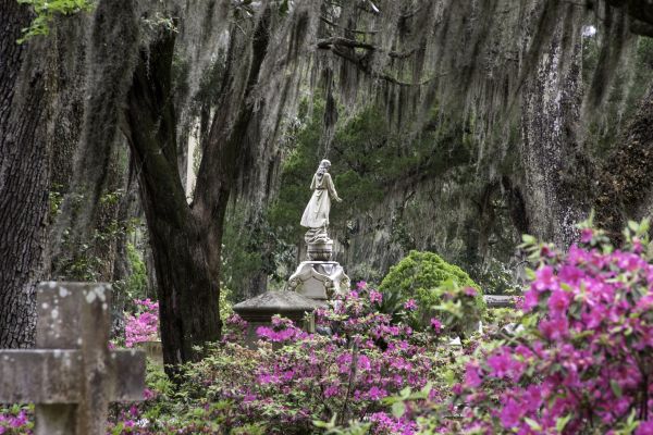 Cemetery Landscaping in New Baltimore