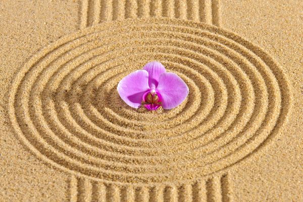 Sand Garden Landscaping in New Baltimore