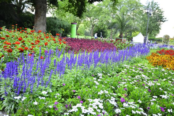 Perennials Planting in New Baltimore