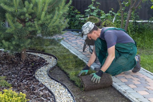 Landscaping Modification in New Baltimore