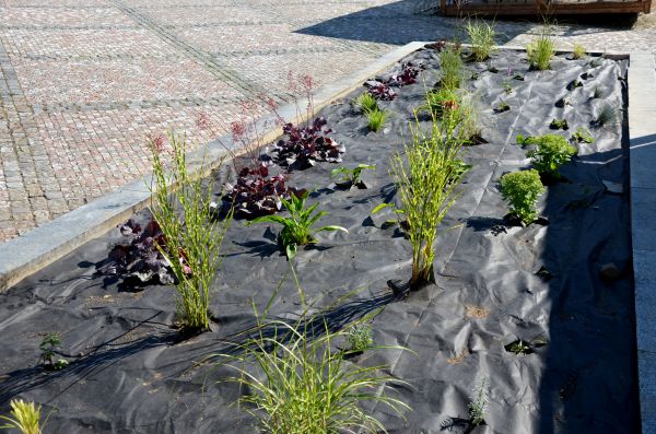 Landscape Fabric Installation in New Baltimore