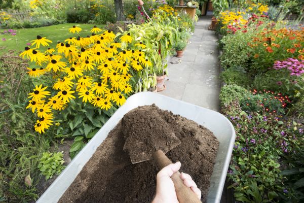 Topsoil Replacement in New Baltimore