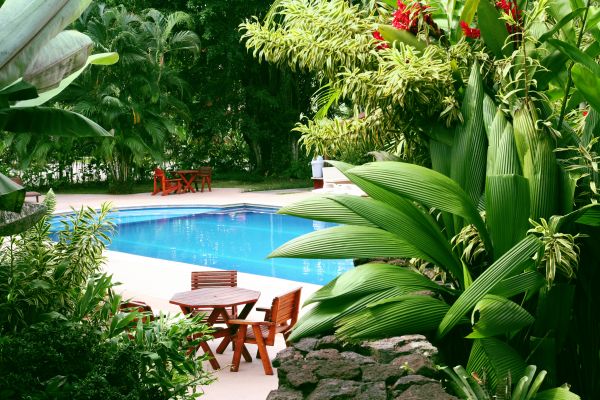 Pool Area Landscaping in New Baltimore
