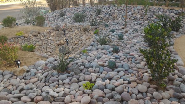 Yard Xeriscaping in New Baltimore