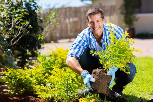Shrub Landscaping in New Baltimore