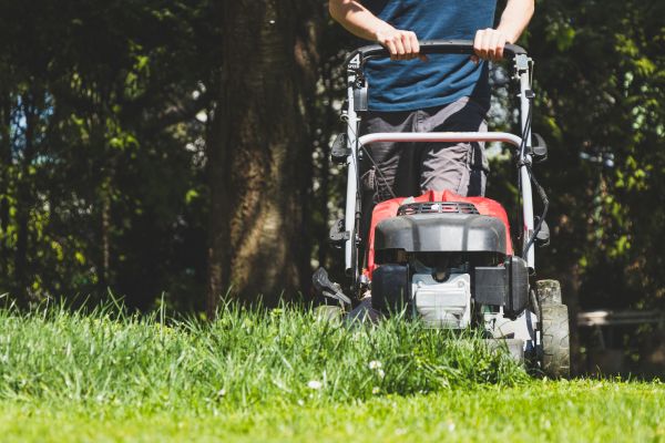Garden Trimming Service in New Baltimore