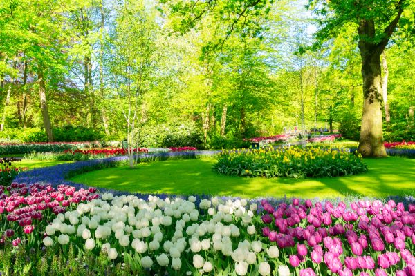 Flower Landscaping in New Baltimore