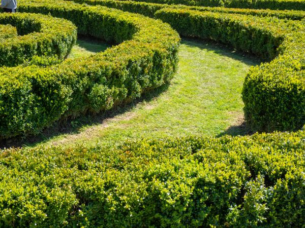 Bush Landscaping in New Baltimore