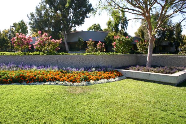 Commercial Landscape Service in New Baltimore