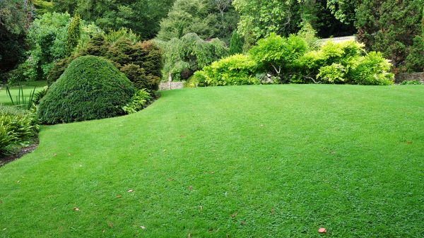 Commercial Landscape Design in New Baltimore