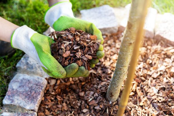 Tree Bark Delivery in New Baltimore