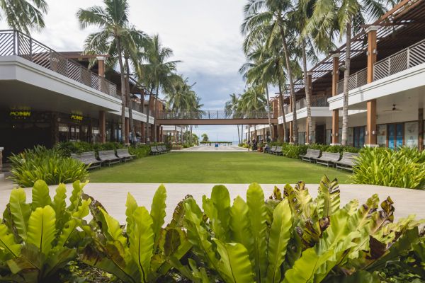 Commercial Lawn Renovation in New Baltimore