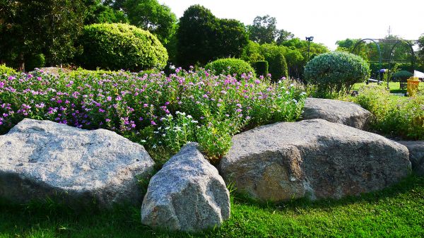 Boulder Garden Design