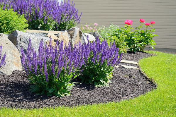 Landscape Planting Service in New Baltimore