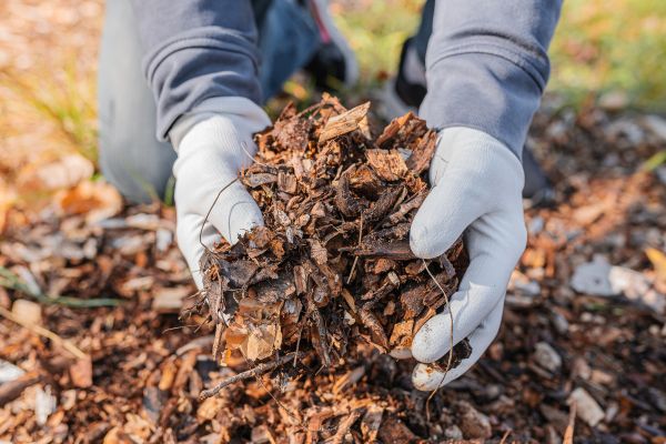 Shredded Mulch Installation in New Baltimore