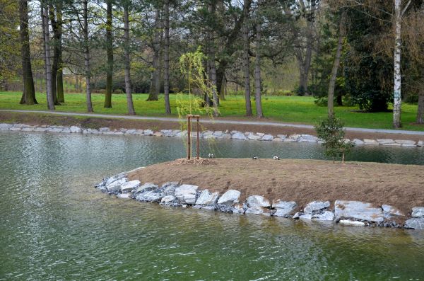Pond Landscaping Service in New Baltimore