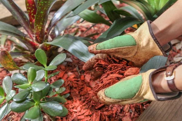 Residential Mulching in New Baltimore