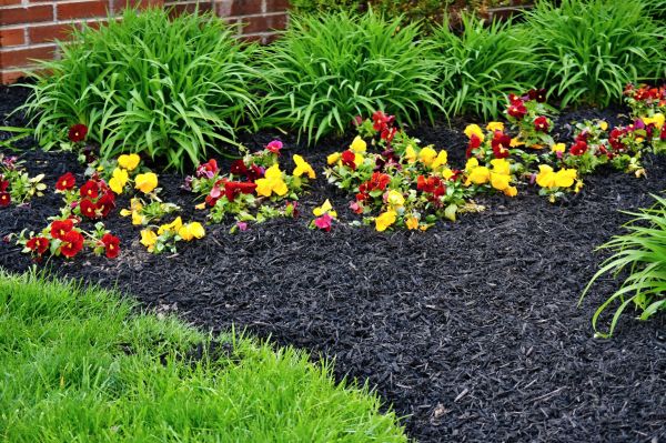 Apartment Mulching in New Baltimore
