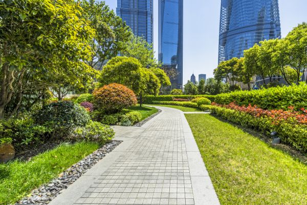 Commercial Landscaping in New Baltimore