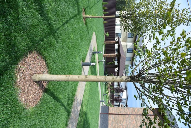 Planting and Hardscape Construction