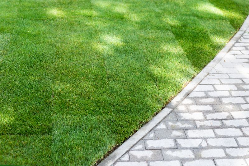 Lawn Border Installation