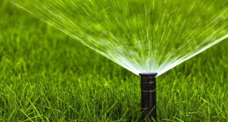 Winter Protection for Sprinkler Heads